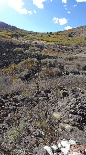 looking up from the heart of Capulin Volcano